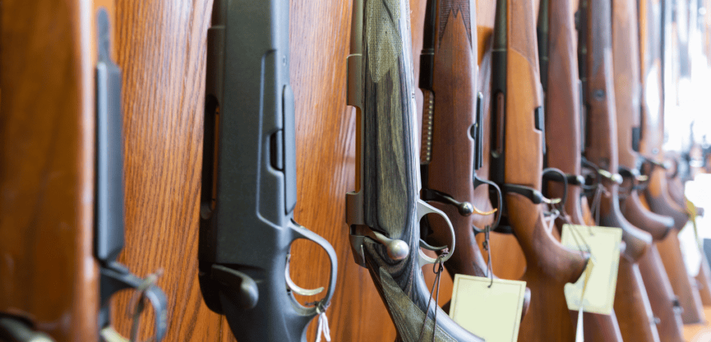 Gun Store POS